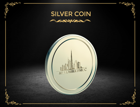 Silver Coin